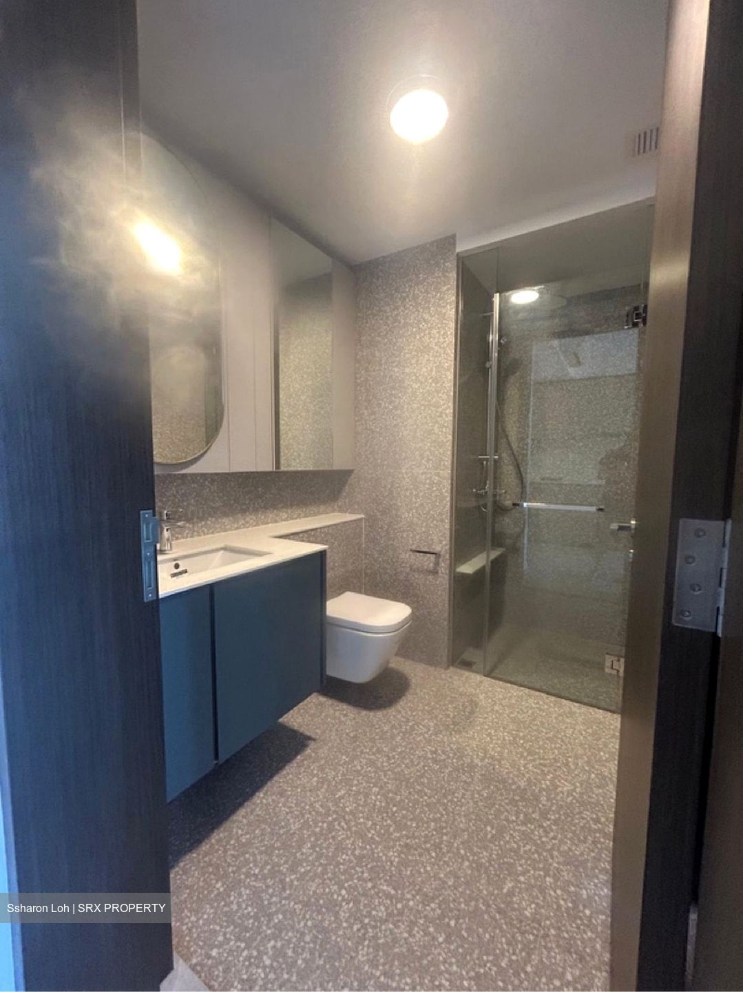 Clavon (D5), Apartment #599717441